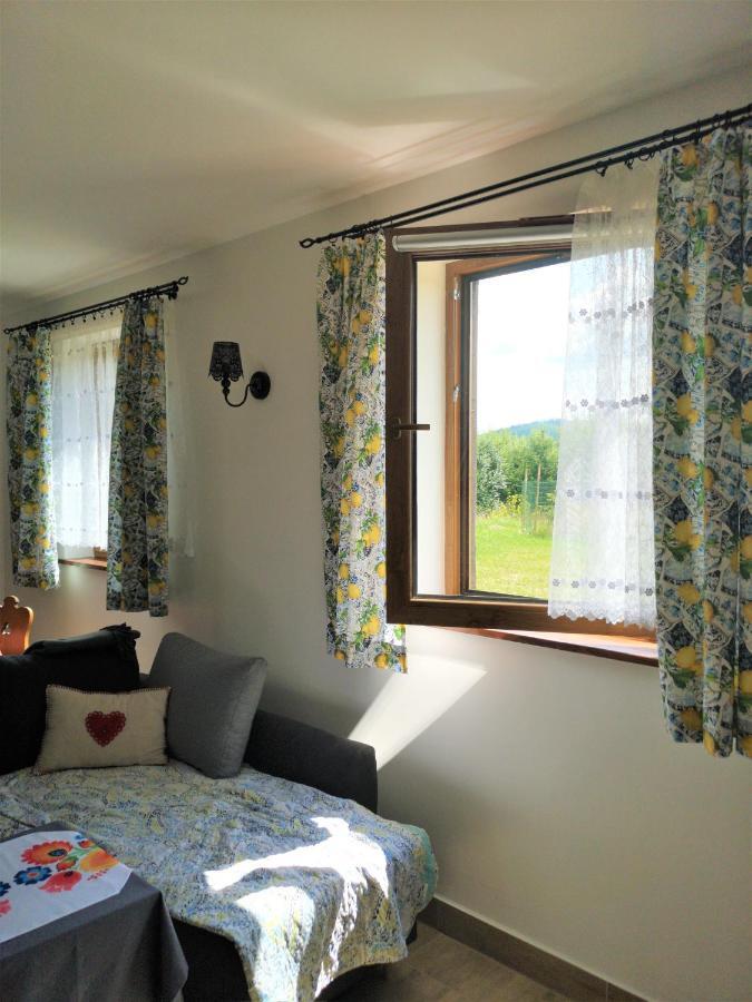 Apartament Z Kominkiem I Wanna Istebna Exterior photo